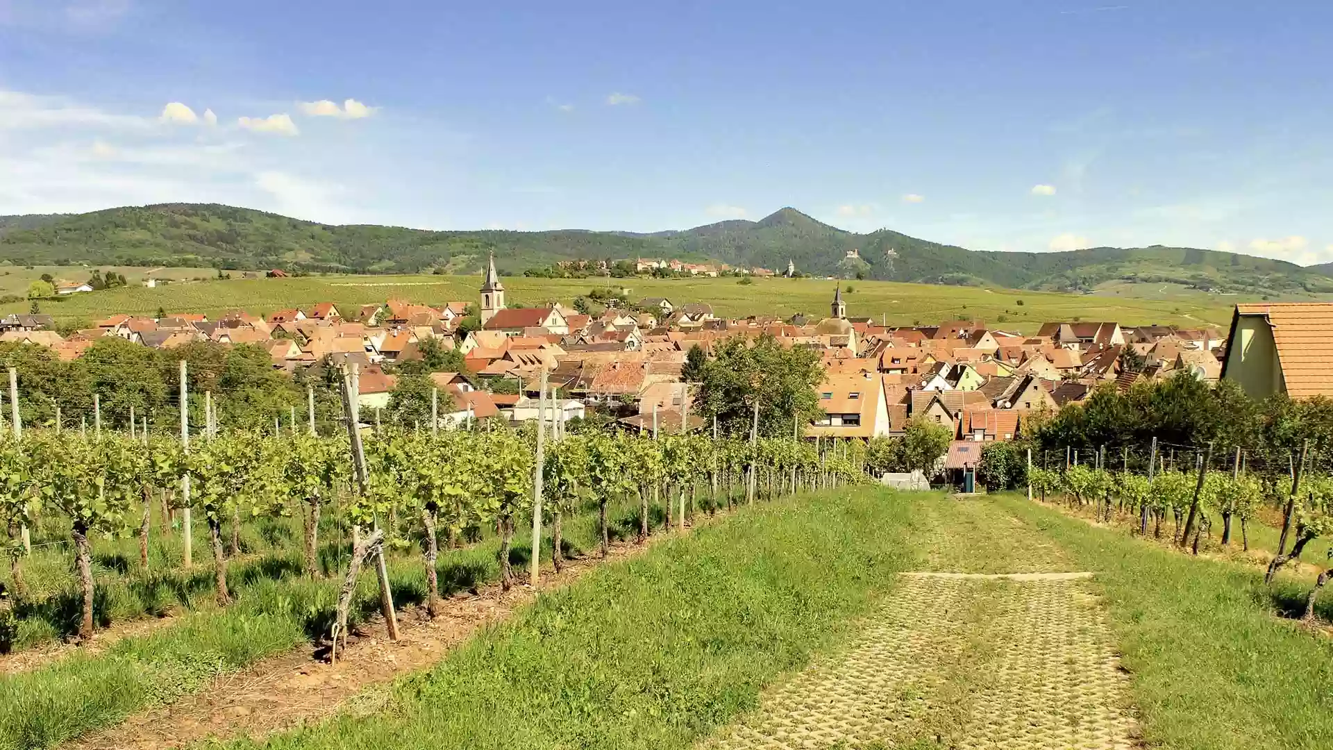 piémont des Vosges Beblenheim