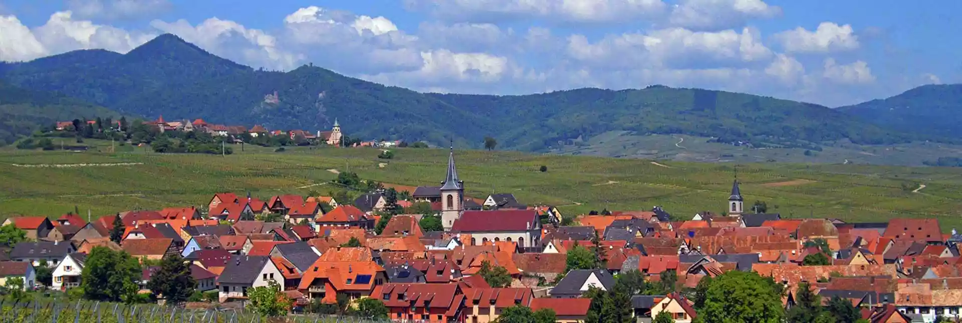 vignoble de Beblenheim